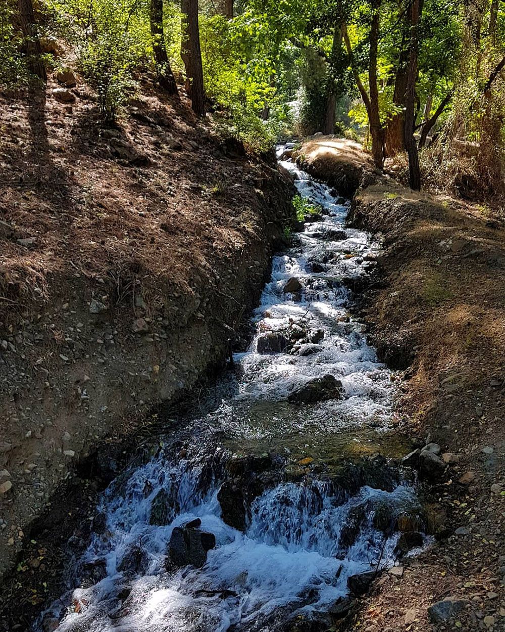 Anıt ağaçlar diyarı Sandras Dağı ve Gökçeova Göleti